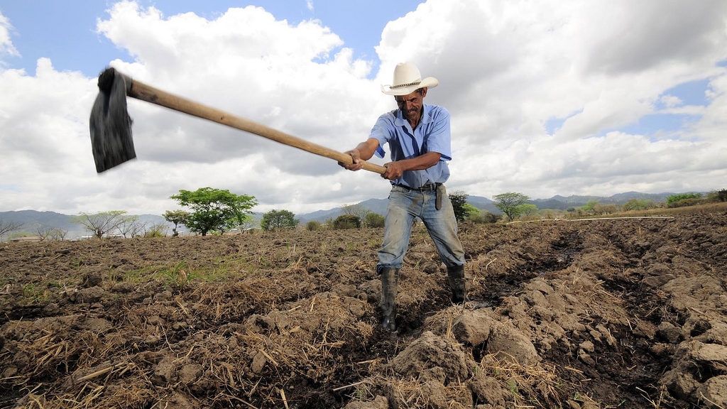 Ein Bauer in Hondruas bestellt sein Feld mit einer Hacke