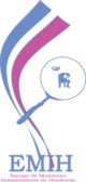 EMIH-Logo