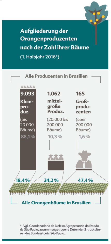 In Brasilien sind 88,1 Prozent der Orangenbauern und -Bäuerinnen Kleinproduzenten. Sie besitzen aber nur 18,4 Prozent der Bäume. Hingegen besitzen die 10,3 Prozent der Mittelgroßen 34,2 Prozent der Bäume. Die lediglich 1,6 Prozent der Großproduzenten besitzen ganze 47,4 Prozent aller Orangenbäume.