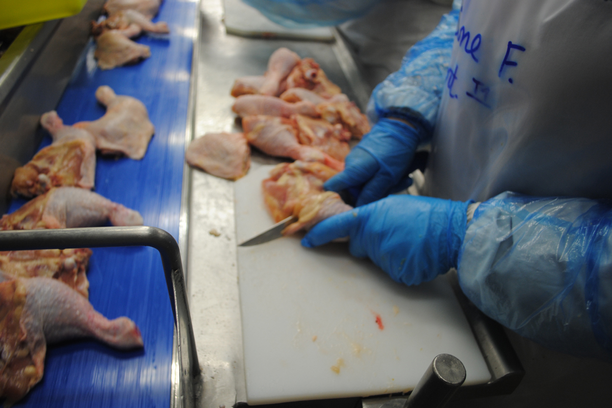 Arbeiter*in zerlegt Hühner in ihre Einzelteile am Fließband
