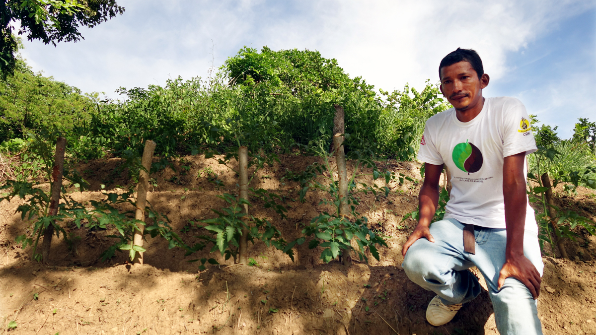 Ein junger Mann präsentiert seinen Gemüsegarten im Trockenkorridor von Zentralamerika