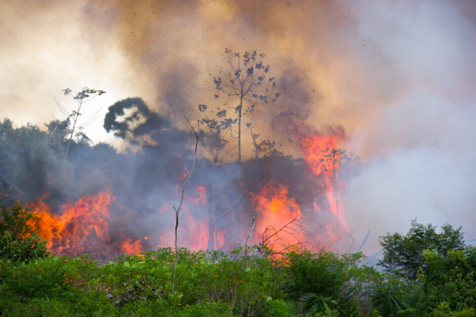 Viehzüchter brennen Wälder in Brasilien nieder. Bergbauunternehmen holzen riesige Territorien ab und vertreiben indigene Gemeinden. Deutsche Unternehmen tragen dabei eine Mitverantwortung. Wir fordern sie auf: Liefern Sie keine Maschinen für Bergbau auf indigenem Land in Brasilien!