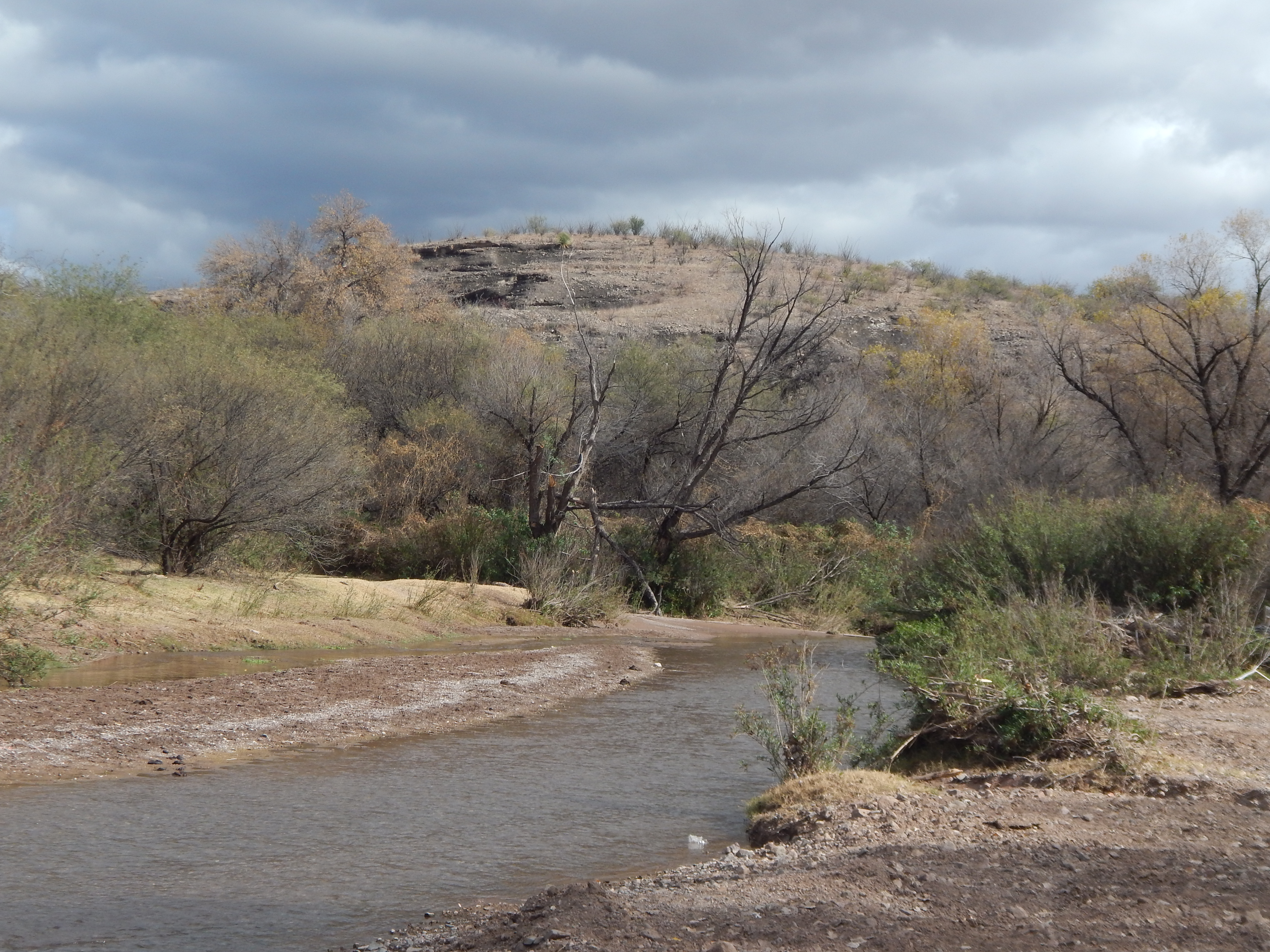 Der Fluss Bacanuchi in Mexiko nahe des gebrochenen Bergbau Damms