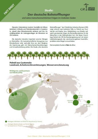 Fact Sheet zur Studie: Der deutsche Rohstoffhunger - Download