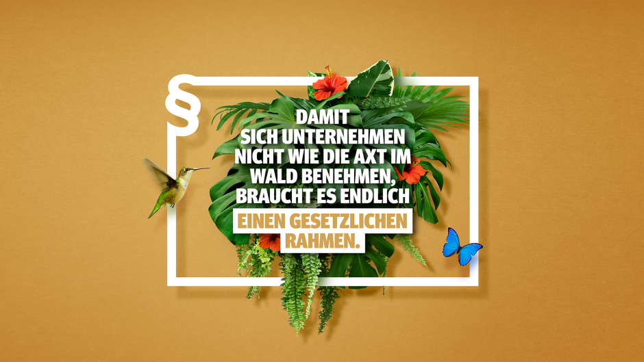 Zerstörung von Regenwald, Kontaminierung von Gewässern, prekäre Arbeitsbedingungen und Gesundheitsschäden: Das ist die Bilanz der Produktion von Palmöl in Guatemala und Kupfererz in Mexiko. Deutsche Unternehmen tragen daran eine Mitverantwortung, belegt unsere neue Studie.