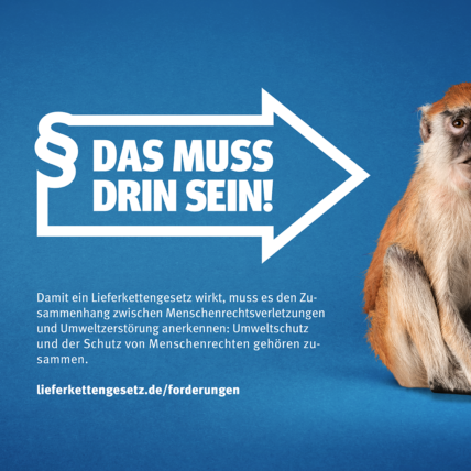 Pfeil im Stil des Logos der Initiative Lieferkettengesetz mit den Spruch "Das muss drin sein!" zeigt auf einen Affen