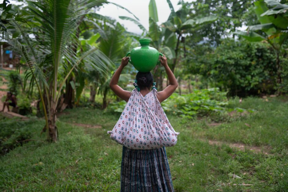 2023 löste Guatemala Malaysia als größten Palmöllieferanten Deutschlands ab. Der Anbau geht oft mit Menschenrechtsverletzungen wie Vertreibungen und Umweltschäden wie Abholzung und Wasserverschmutzung einher. Auch deutsche Unternehmen kommen ihren unternehmerischen Sorgfaltspflichten nicht nach.