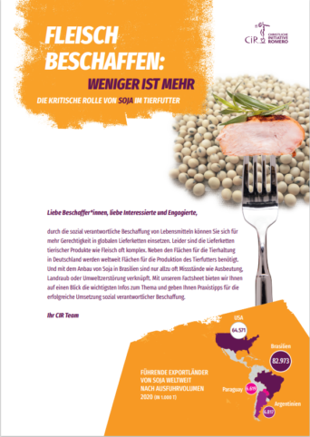 Factsheet: Fleisch beschaffen: Weniger ist mehr