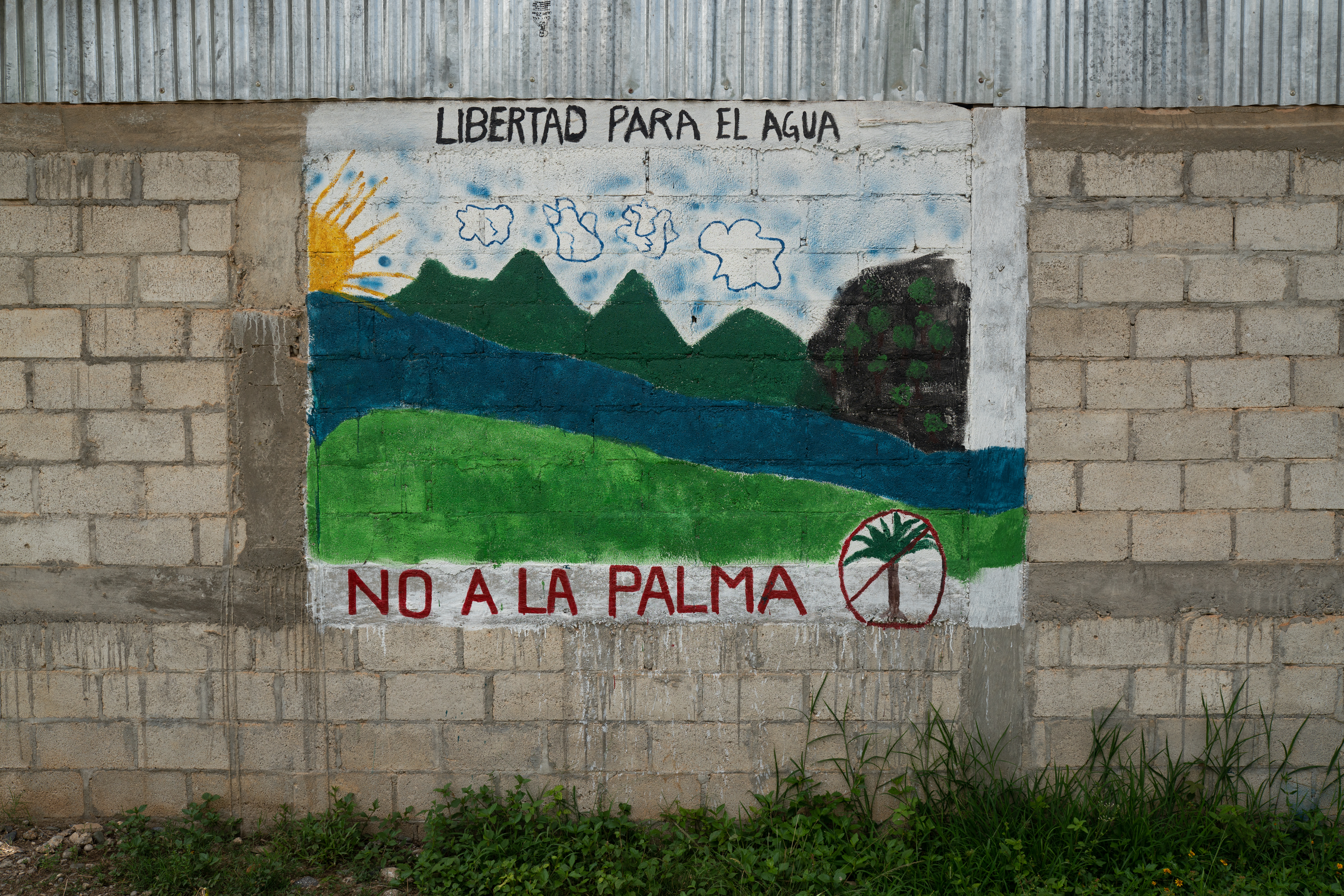Wandbild im nördlichen Guatemala mit der Aussage: Freiheit für Wasser. Nein zur Ölpalme.