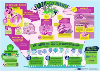 Infoplakat: Soja – So nicht!