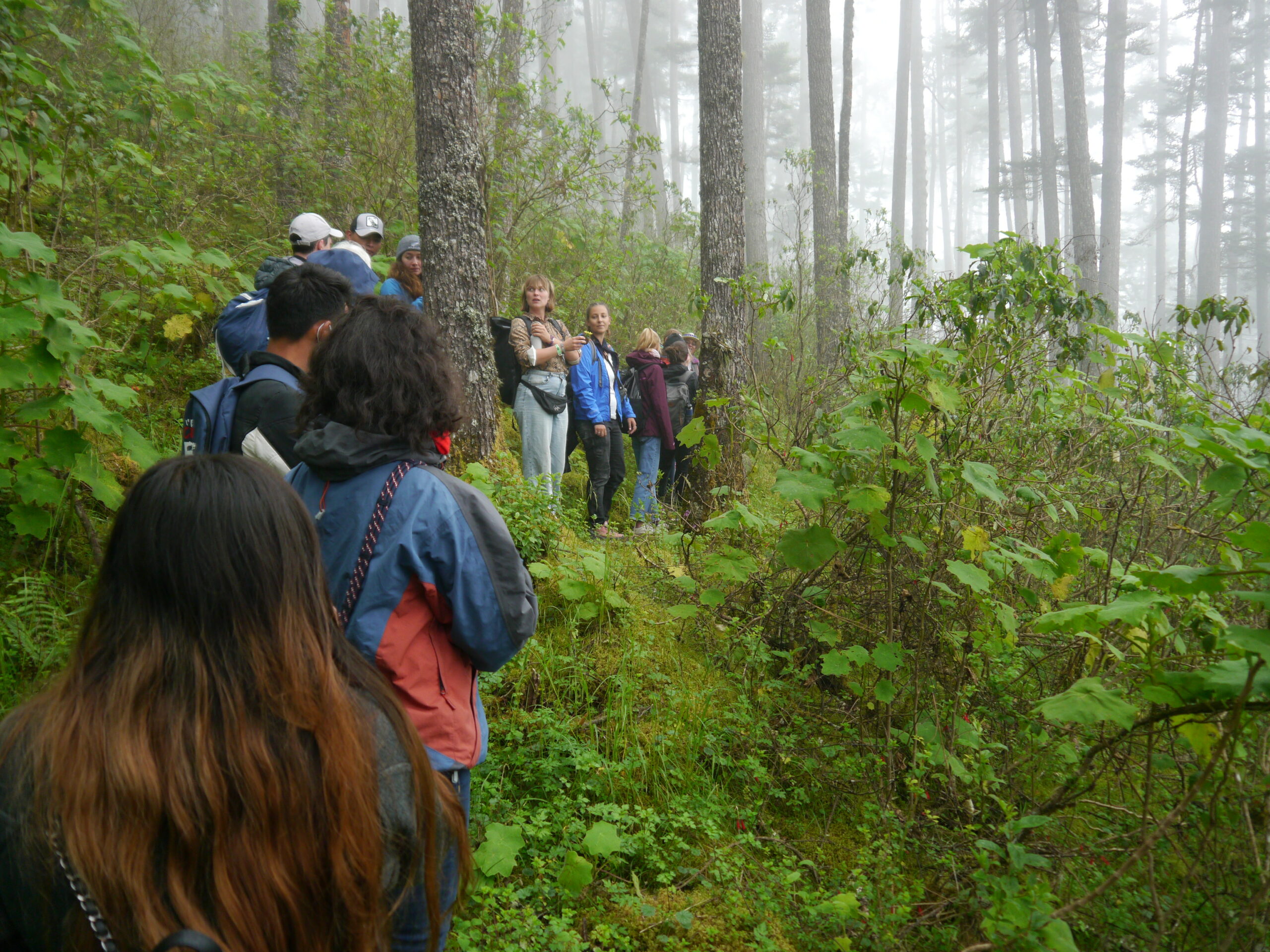 Eine Gruppe junger Menschen steht in einem Waldgebiet in Guatemala