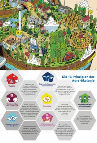 Bildungskartenset zum Welternährungs-Wimmelbild – Bild 4
