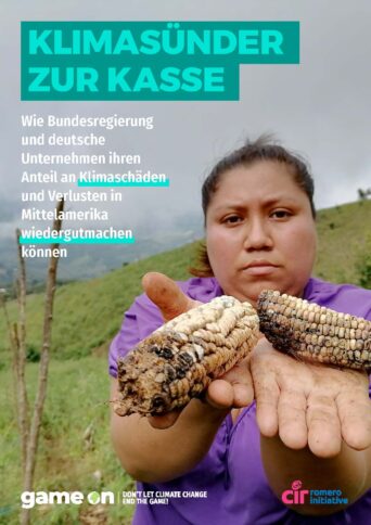 Studie: Klimasünder zur Kasse - Download