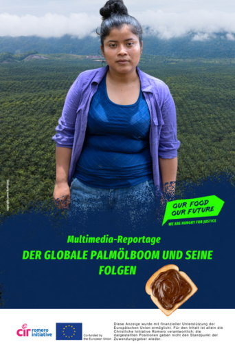 Multimediareportage Palmöl - virtuell