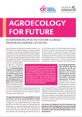 Positionspapier: Agroecology for future - EU-Ernährungspolitik für eine globale Ernährungswende gestalten