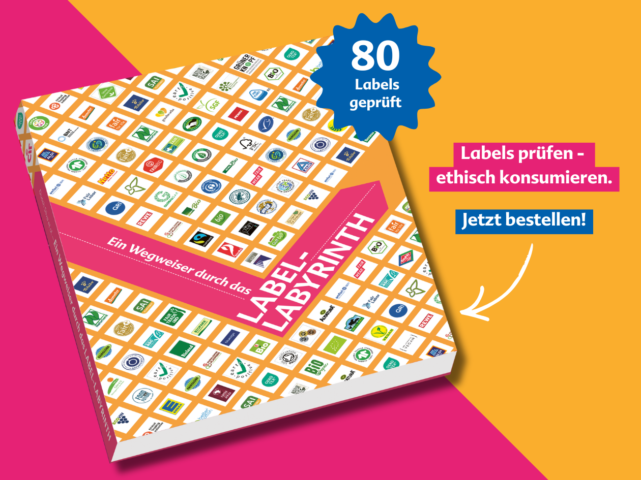 Der neue Wegweiser 2025 Foto: CIR